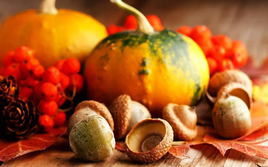 Fall Pumpkin