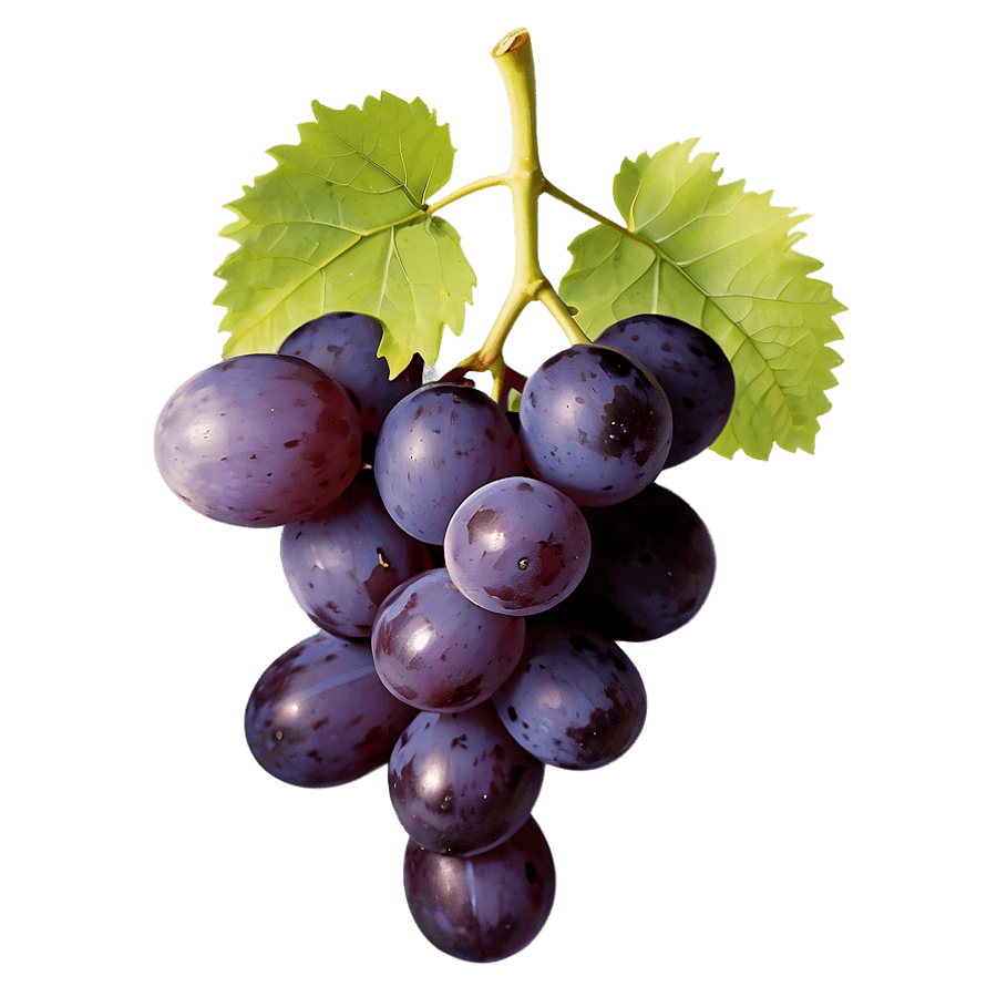 Farm Fresh Grape PNG skf13
