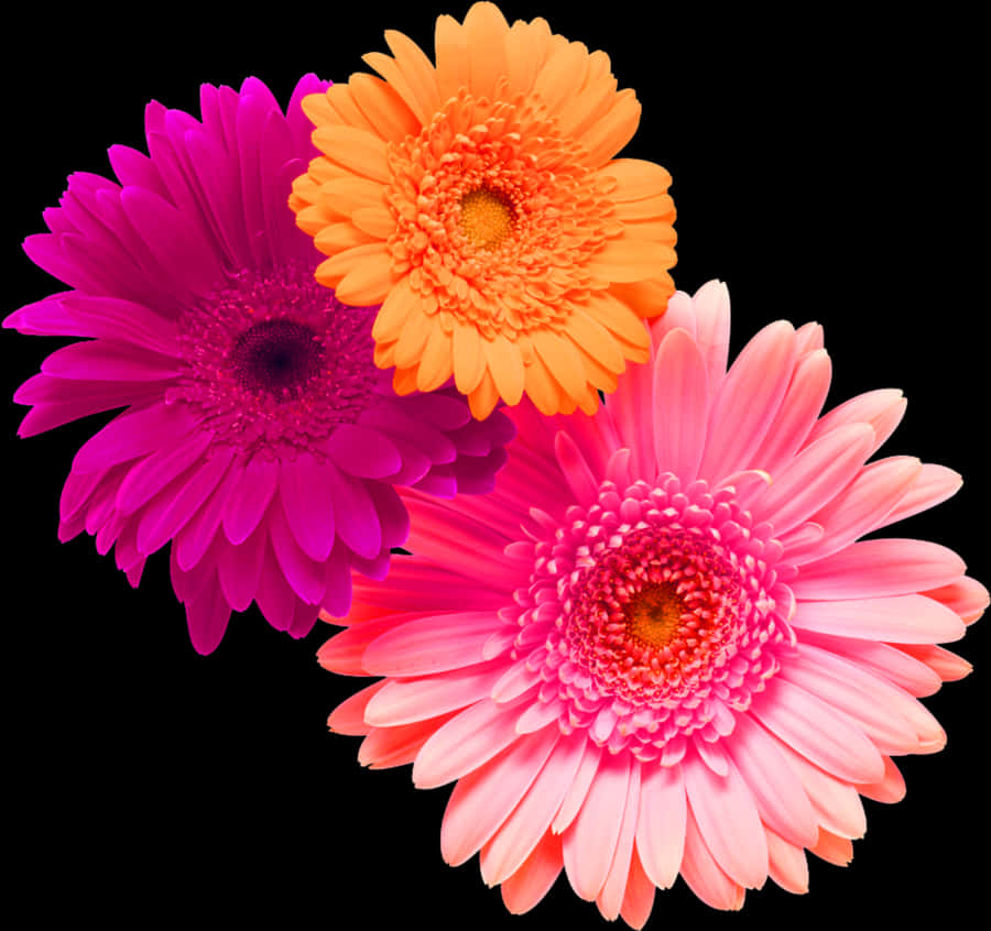 #flower #flowers #bouquet #bouquetflower #pink #orange, HD Png Download