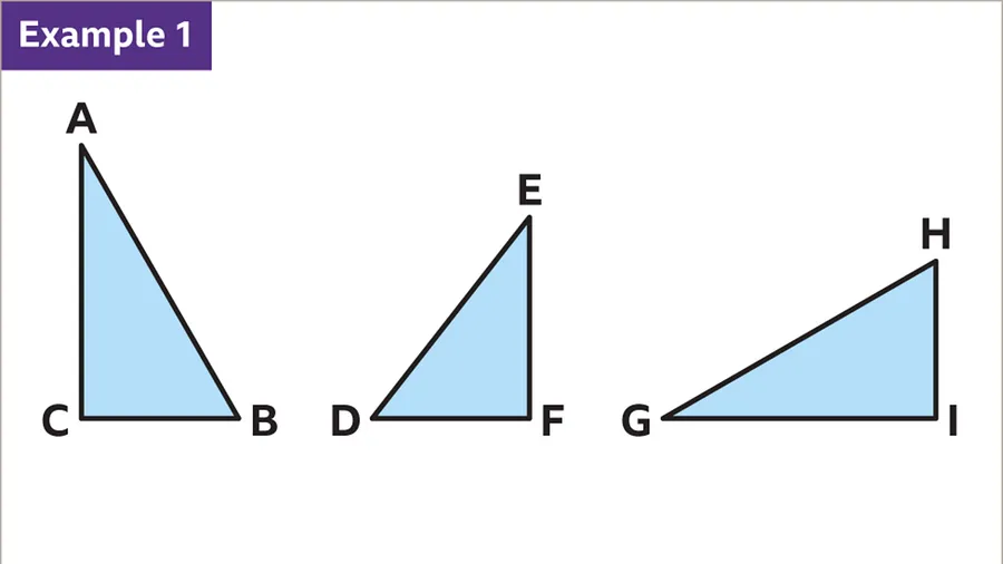 Congruent Triangles Examples