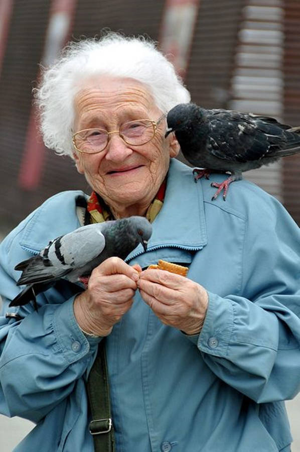 Vieille Femme Avec Des Pigeons
