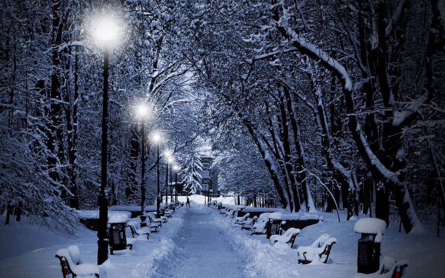 "DieSchönheit einer verschneiten Winterwunderlandschaft"