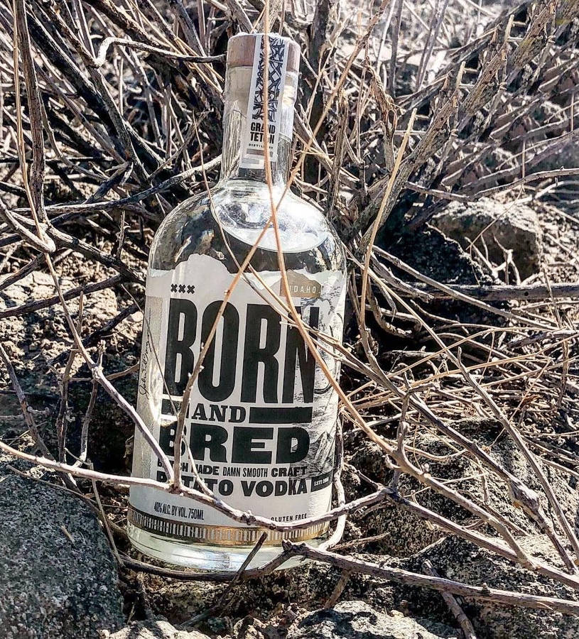 Born And Bred Dried Plant