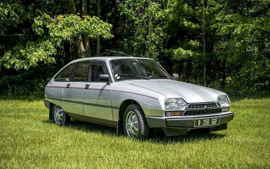 Citroen G S Vintage Parcheggiata sull'Erba