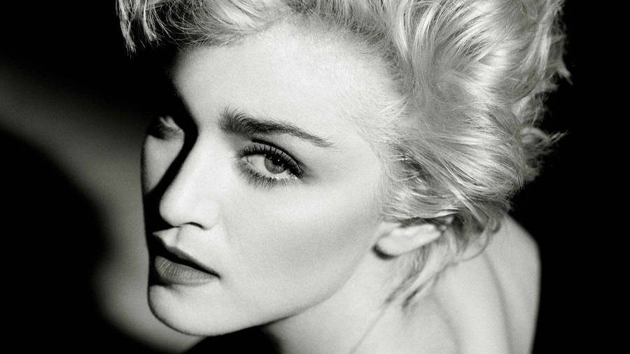 Download Queen Of Pop Madonna Wallpaper | Wallpapers.com