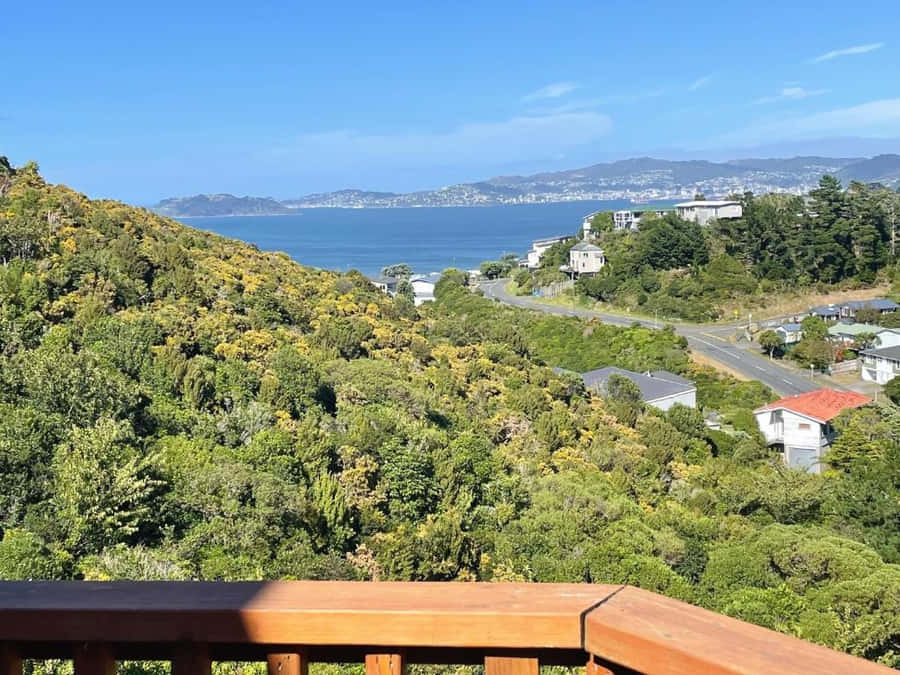 Vista Costeira de Lower Hutt Nova Zelândia