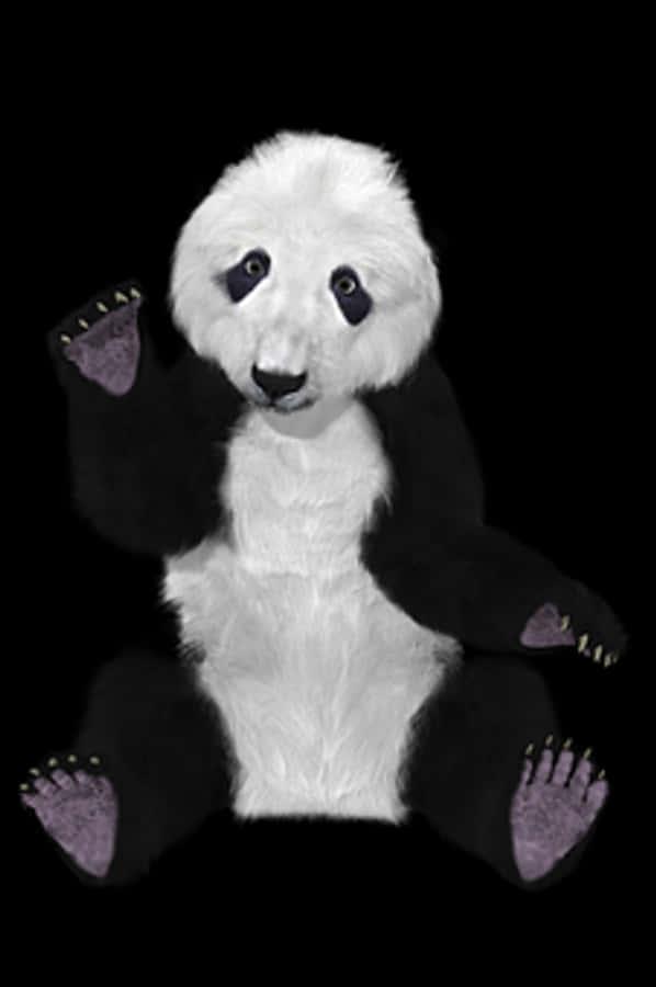 Plush Panda Toy Black Background