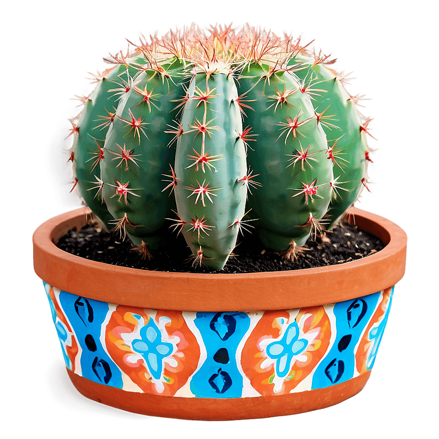 Cactus in Terracotta Pot PNG upk79