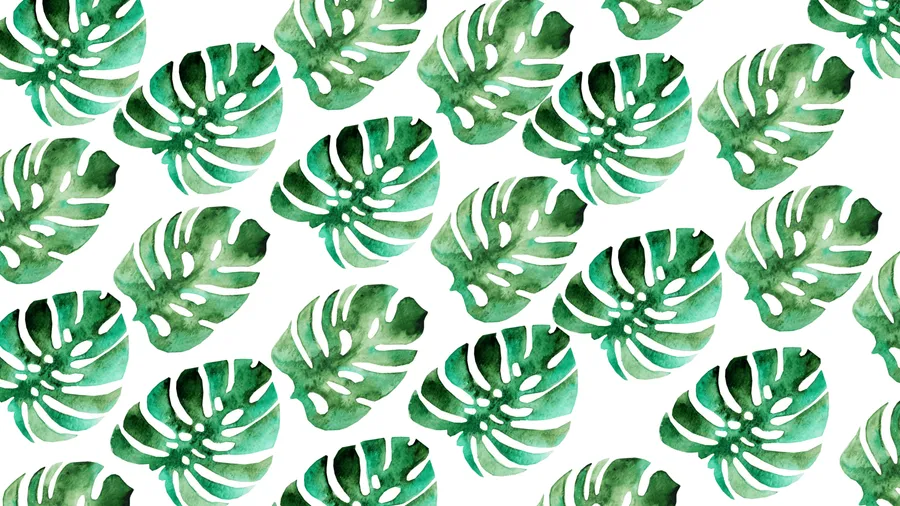 Monstera Leaf Backdrop