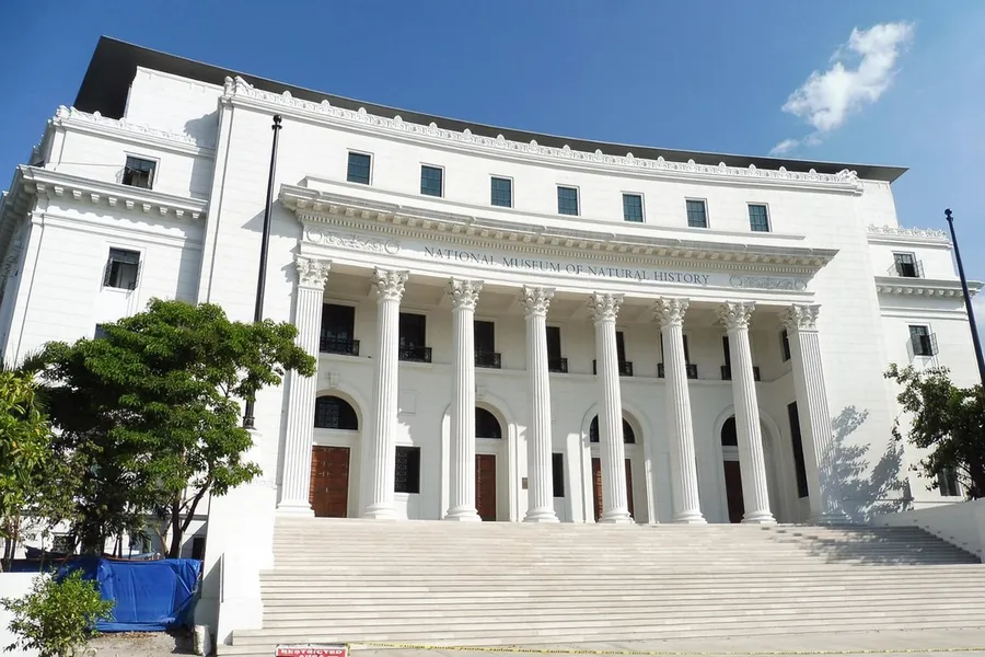 Museum background