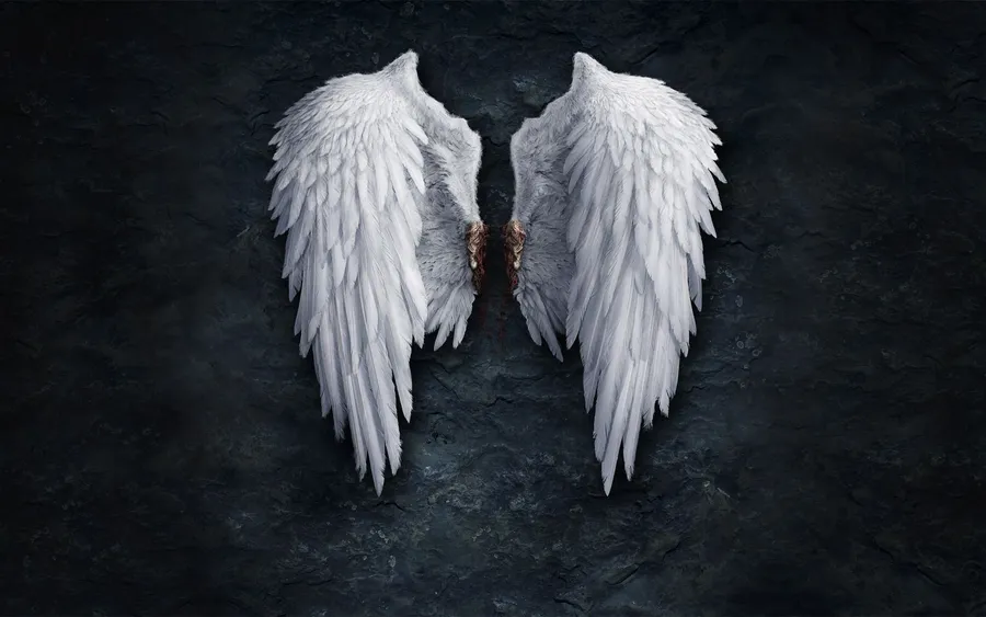 Wings Background