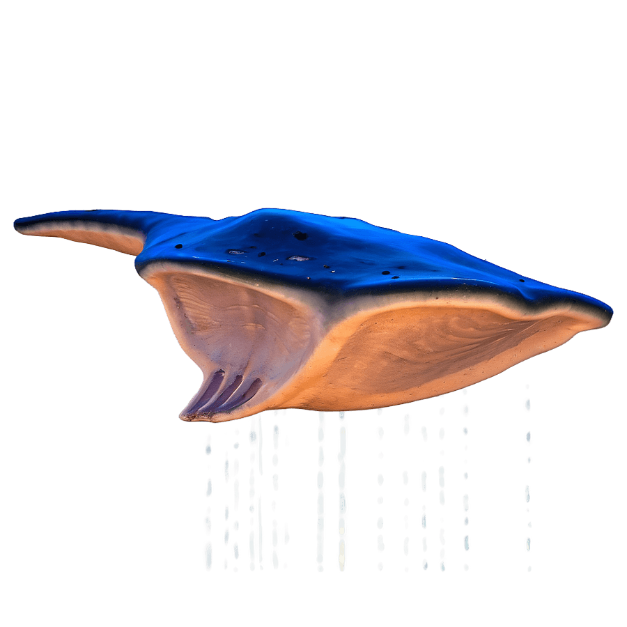 Stingray Night Scene PNG 05242024