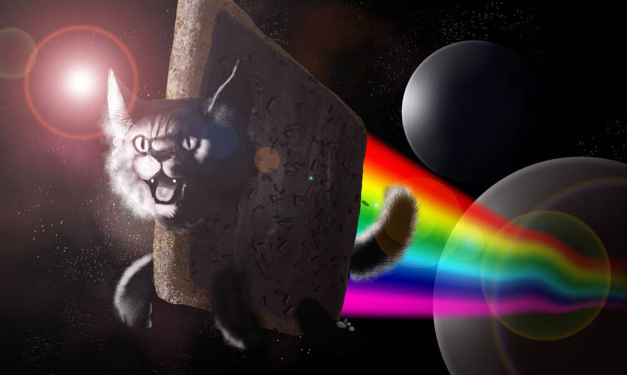 Realistic nyan cat with bread costume flying in outer space over the rainbow.
