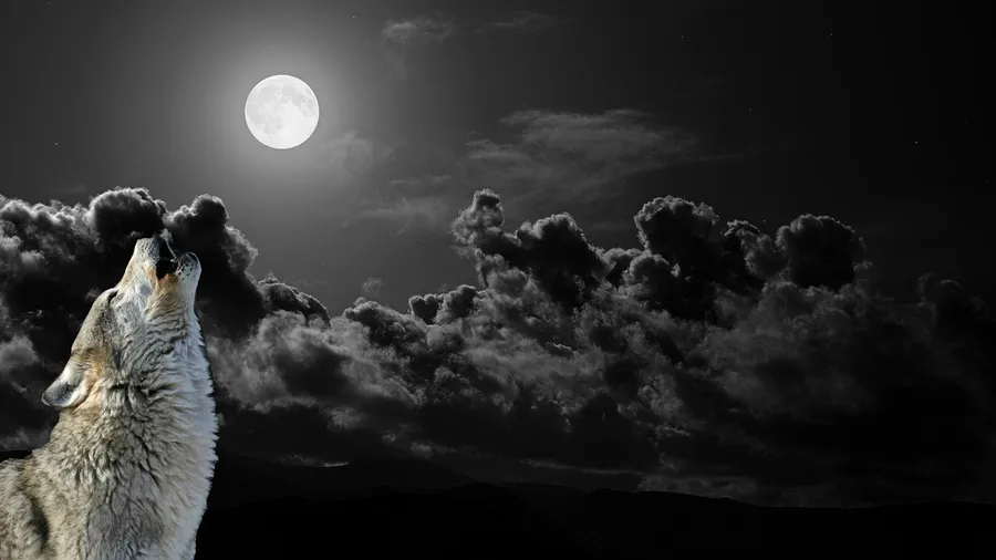 Wolf Moon