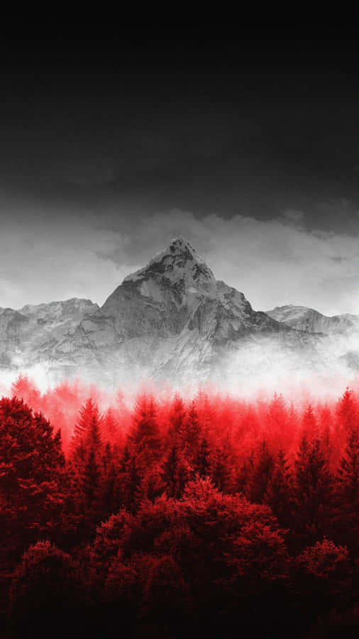 Red Forest