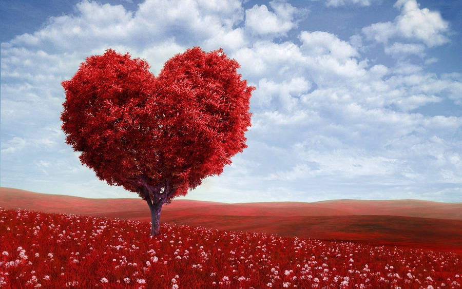 Download Red Heart Tree Desktop Wallpaper | Wallpapers.com