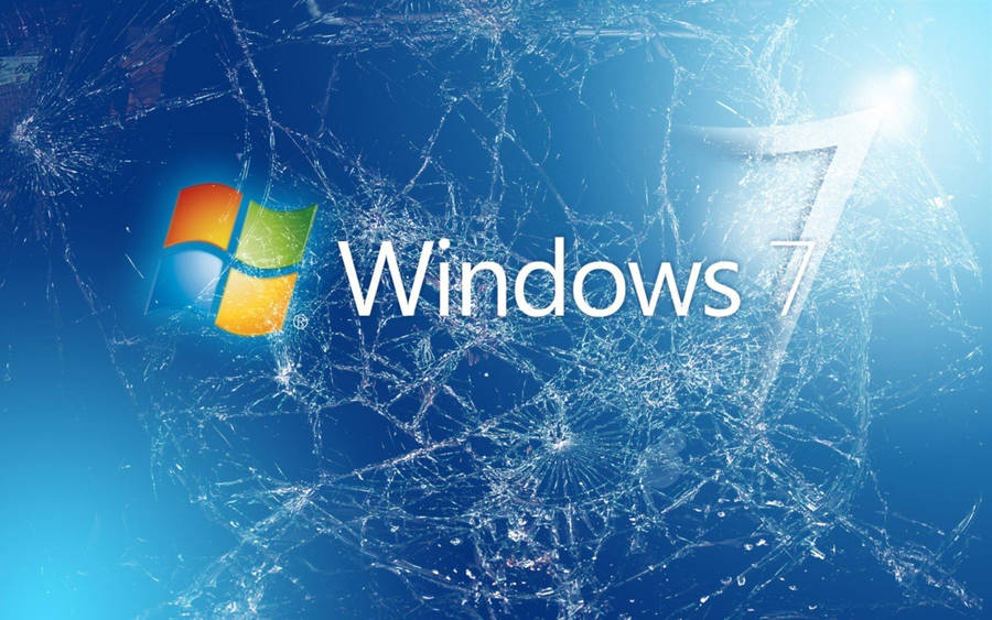 Wallpaper: Bryd Computer Skærm Windows 7 Wallpaper
