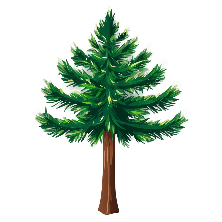 Evergreen Tree Vector PNG vco