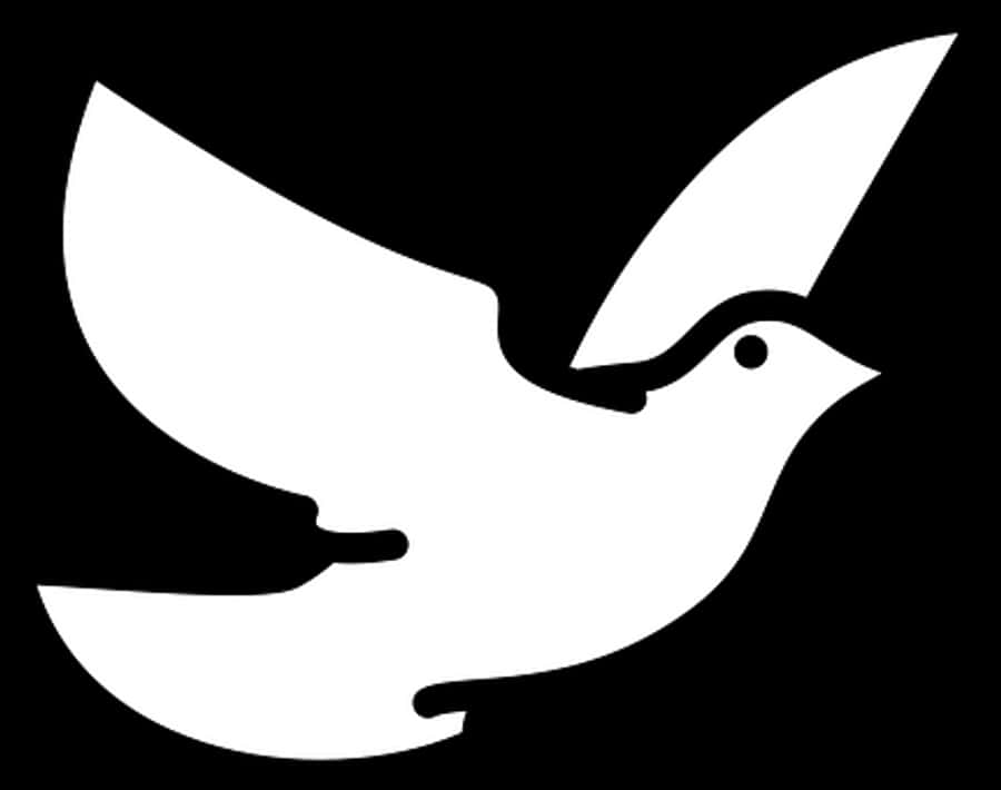 Silhouetted Dovein Flight