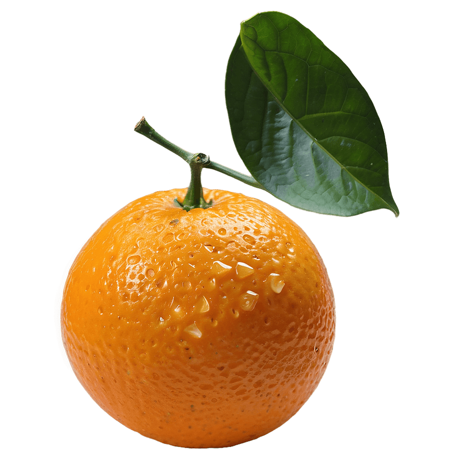 Navel Orange PNG qdv