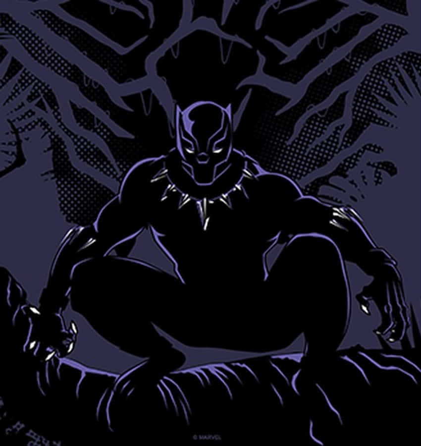 Königvon Wakanda: Der Beschützer