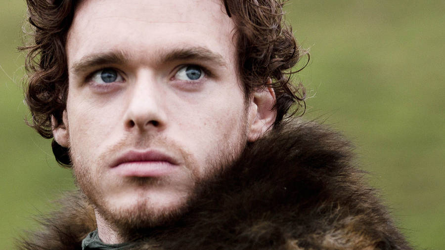 Download Richard Madden Game Of Thrones Wallpaper | Wallpapers.com