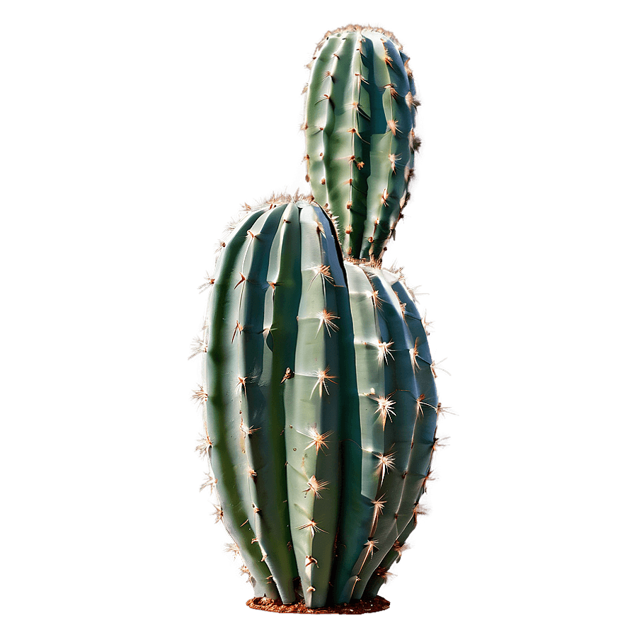 Cactus Jack Emblematic PNG tpd86