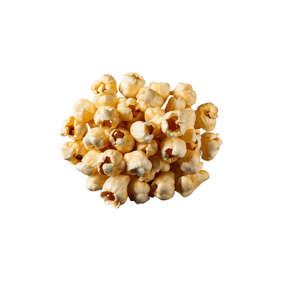 Sweet Popcorn Kernel PNG 95