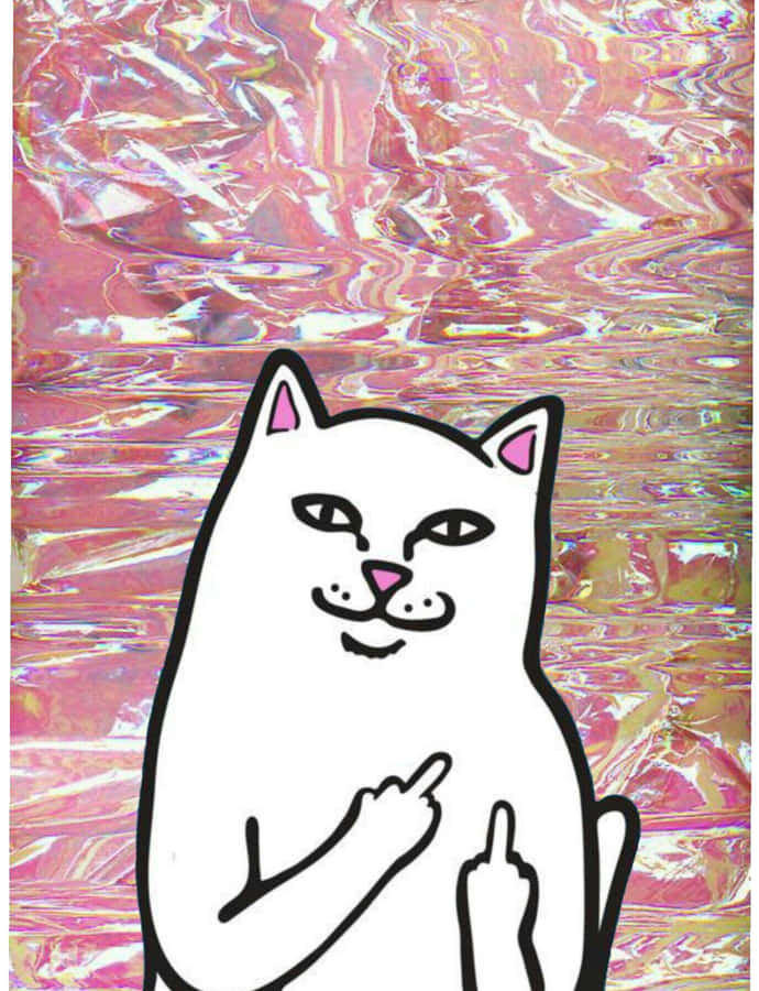 a white cat with a pink holographic background Wallpaper
