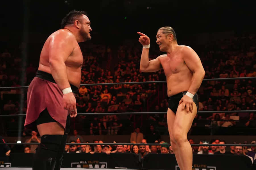 Pro Wrestling Oppgjør Intensitet