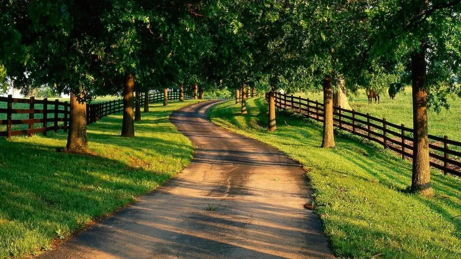 Country Background