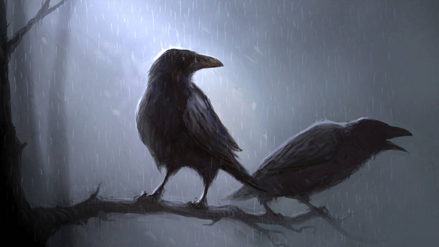 1920x1080 Raven HD Wallpaper and Background Image