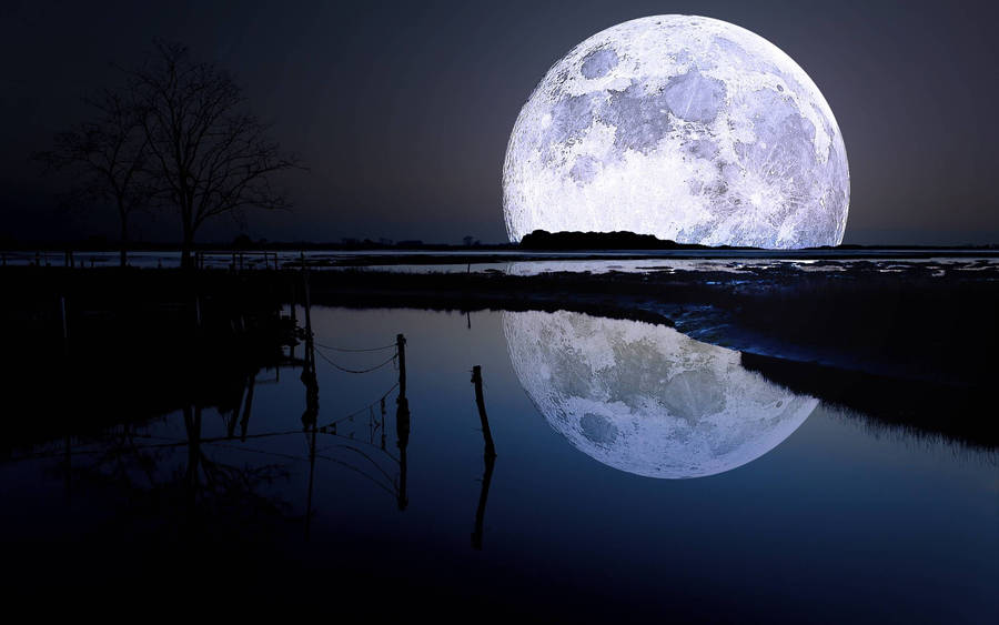 Luna sulla foto del lago