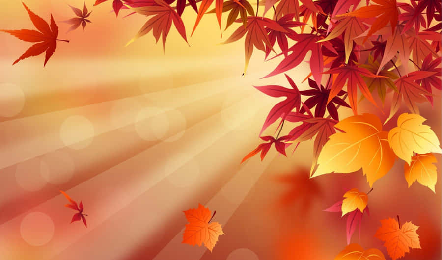 Herbstblätter Sonnenstrahlen Hintergrund