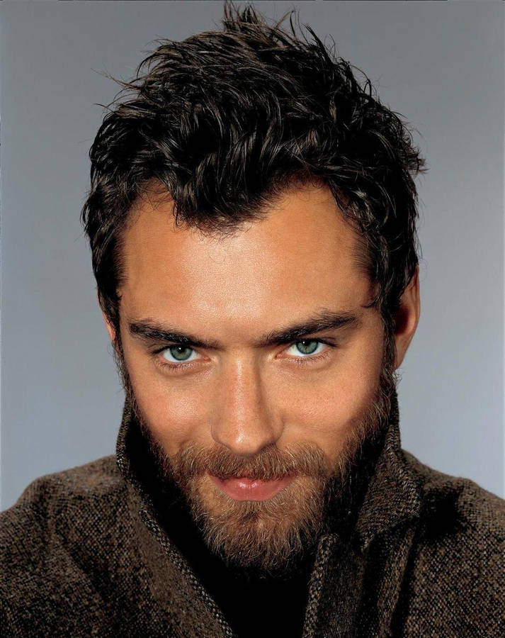 Jude Law English Actor Portrait