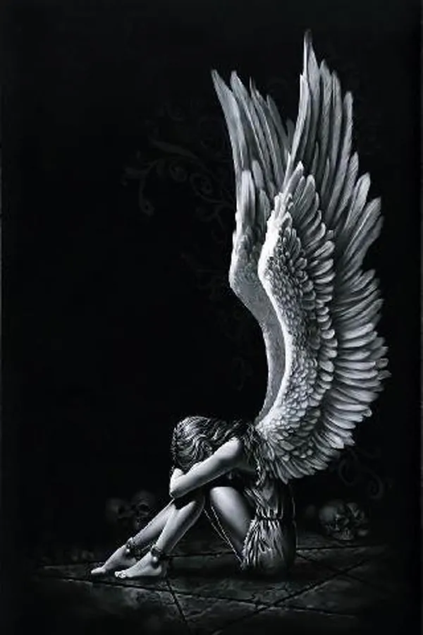 Wings Background