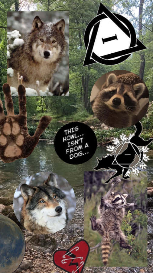 Colagem de Símbolos Therian Lobo Guaxinim