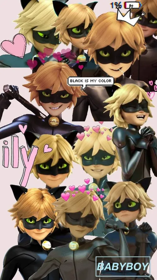 Chat Noir
