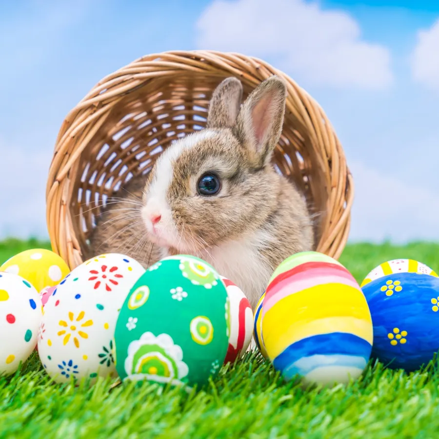 Easter pictures