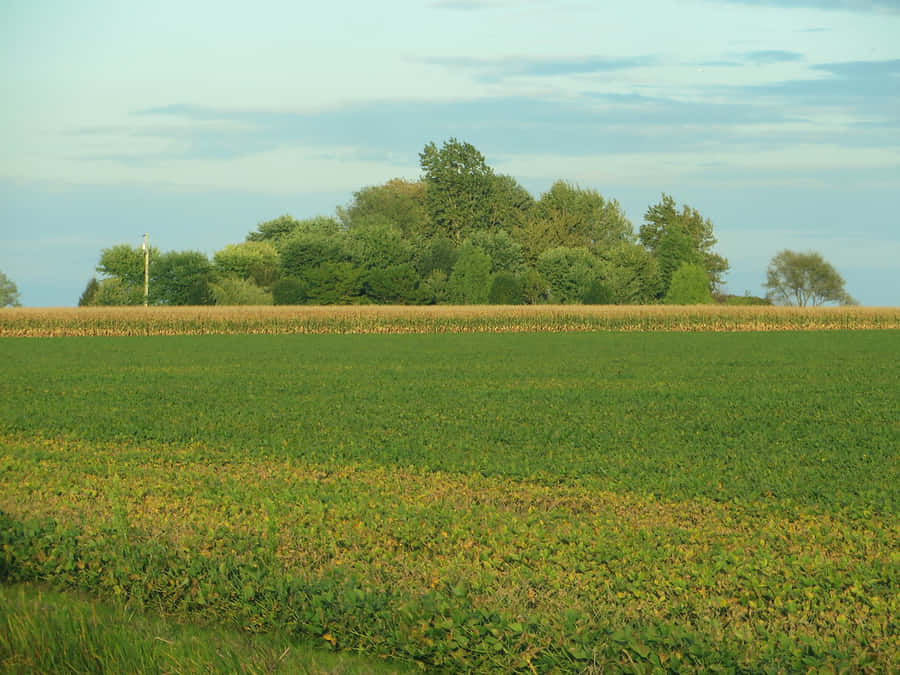 Terras Agrícolas de Chatham Kent ao Crepúsculo