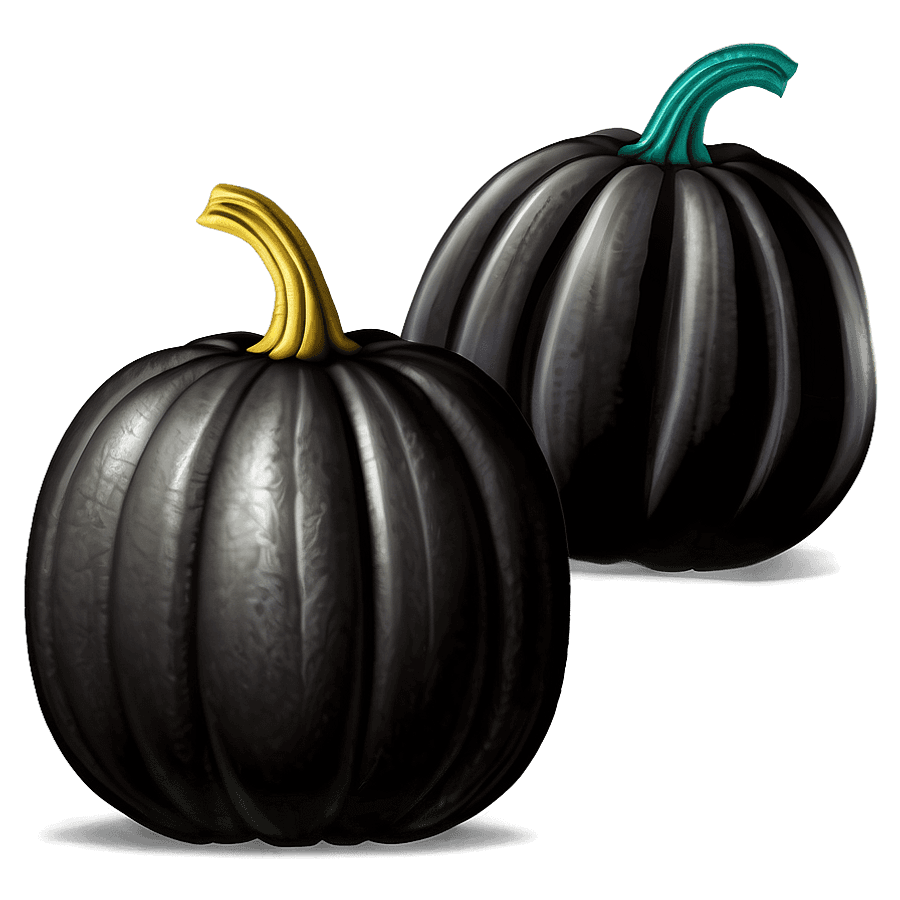 Black Pumpkin Illustration PNG 06282024