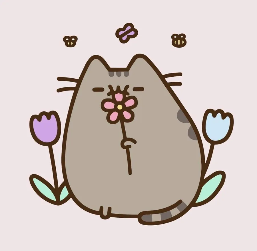 Pusheen background
