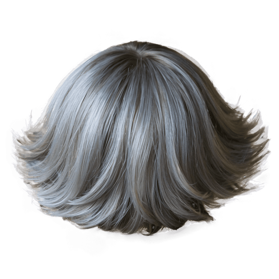 Silver Fox Hairstyle PNG qpv