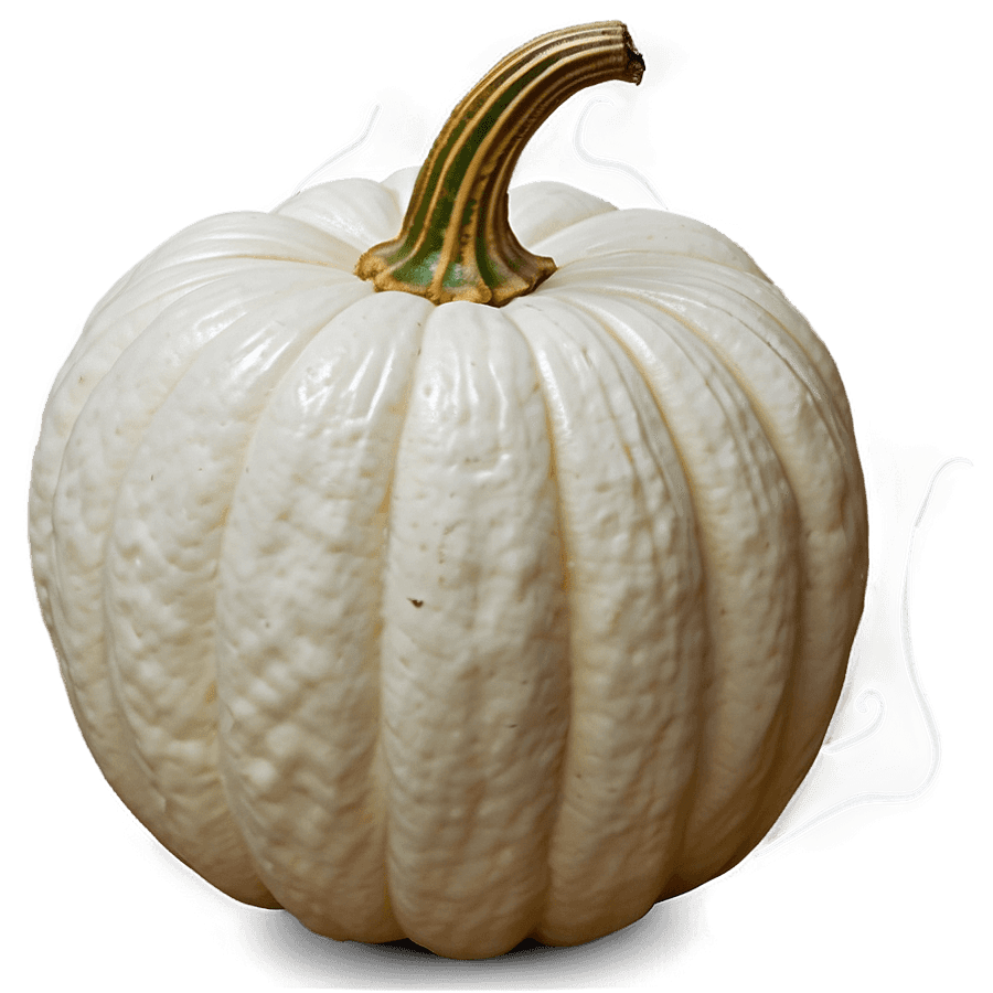 Cute White Pumpkin PNG 06212024