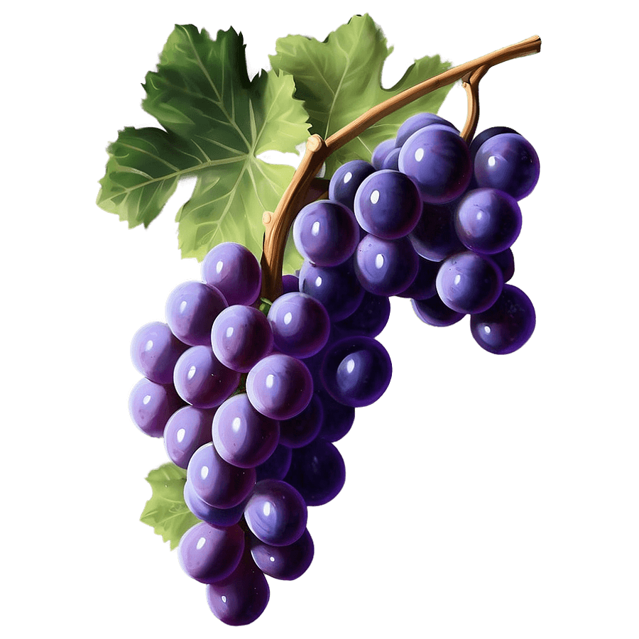 Realistic Grape Art PNG 21