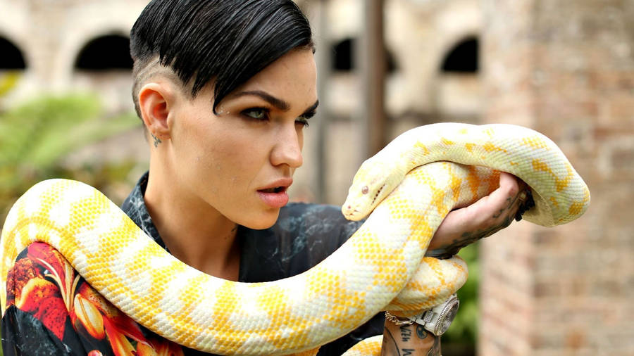 Ruby Rose Dan Python wallpaper