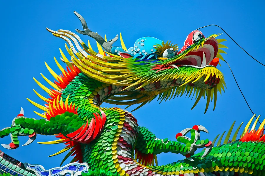 Dragon pictures