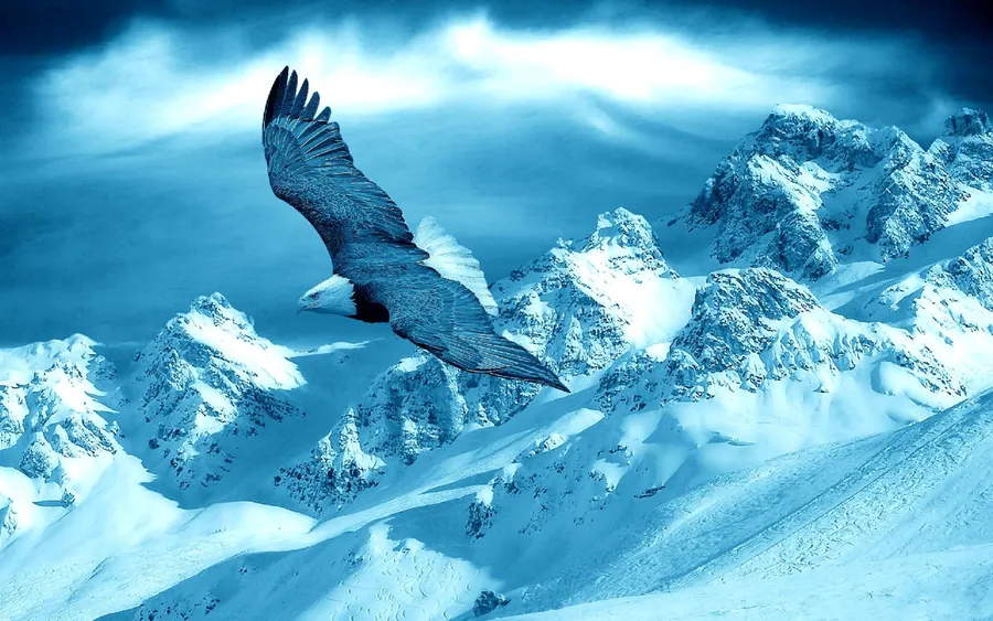 Blue-Hued Eagle