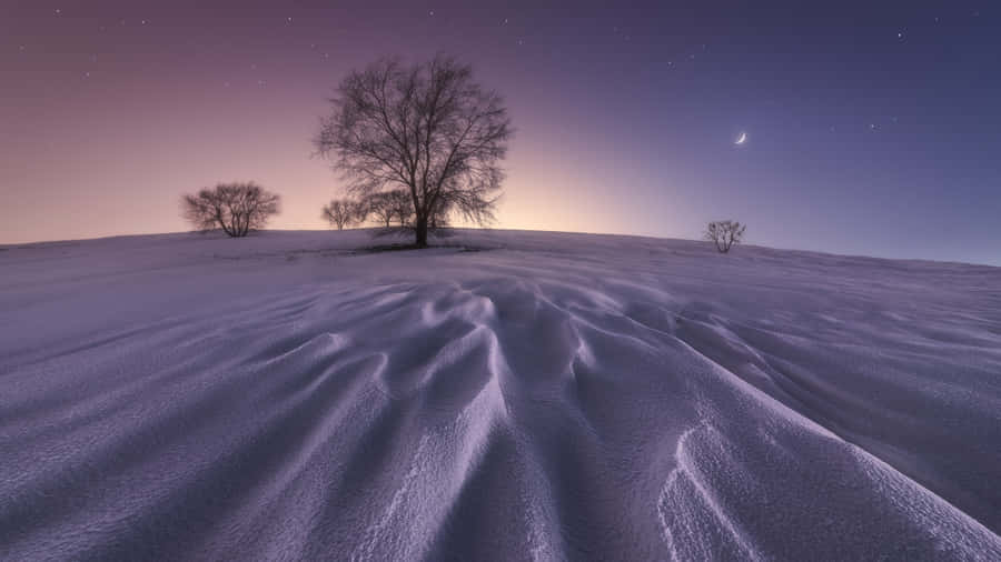 Einewinterliche Wunderwelt in 1920x1080