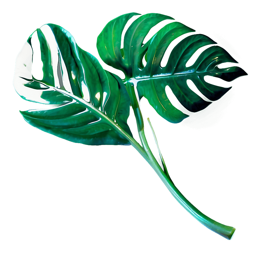 Tropical Leaves Overlay PNG rcp71